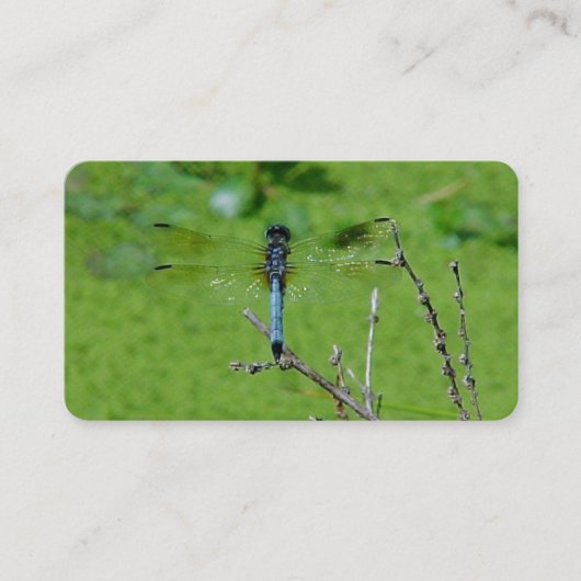 Cartes de visite du dragon (Devant)