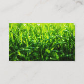 Cartes de visite du service de remorquage de pelou (Dos)