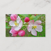 Cartes de visite du temps de floraison Apple (Dos)