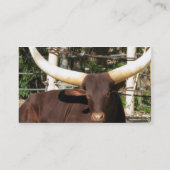 Cartes de visite du TEXAS LONGHORN (Dos)