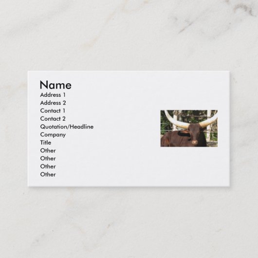 Cartes de visite du TEXAS LONGHORN (Devant)