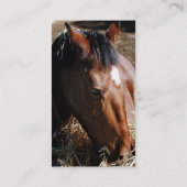 Cartes de visite d'un an (Dos)