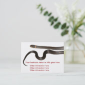 Cartes de visite étranglés de serpent d'anneau (Debout devant)