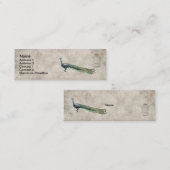 Cartes de visite fascinants de paon (Devant / Derrière)