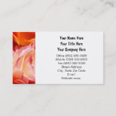 Cartes de visite Fleurs Rose Orange Femmes (Dos)