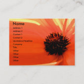 Cartes de visite floraux de corail orange (Devant)