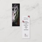 Cartes de visite frisons élégants (Devant / Derrière)