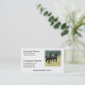 Cartes de visite frisons galopants de chevaux (Debout devant)