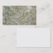 Cartes de visite Graine de courge (Devant / Derrière)