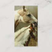 Cartes de visite gris de cheval de concours (Dos)