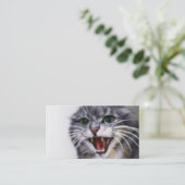 Cartes de visite gris fous de chat (Debout devant)