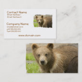 Cartes de visite grisâtres de CUB (Devant / Derrière)