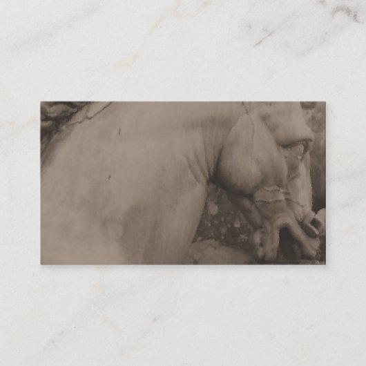 Cartes de visite italiens de cheval de la (Devant)