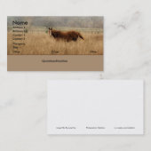 Cartes de visite libres courants (Devant / Derrière)