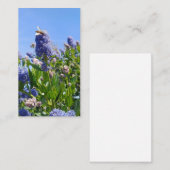 Cartes de visite lilas (Devant / Derrière)