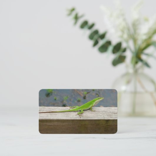 Cartes de visite Lizard (Debout devant)