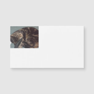 Cartes de visite magnétiques Dave (25 pack)