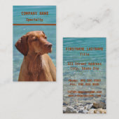 Cartes de visite magyars de chien de Vizsla (Devant / Derrière)