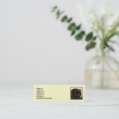 Cartes de visite maigres de chaton persan noir (Debout devant)