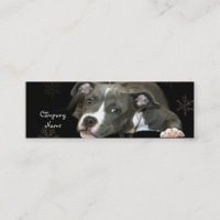 Cartes de visite maigres de chiot bleu de Pitbull