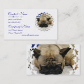 Cartes de visite mignons de bouledogue français (Devant / Derrière)