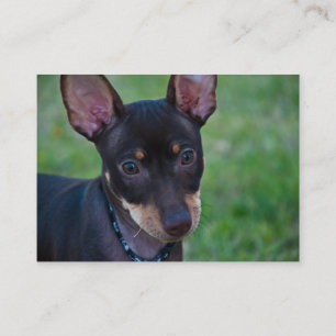 Cartes de visite minimum de Pin