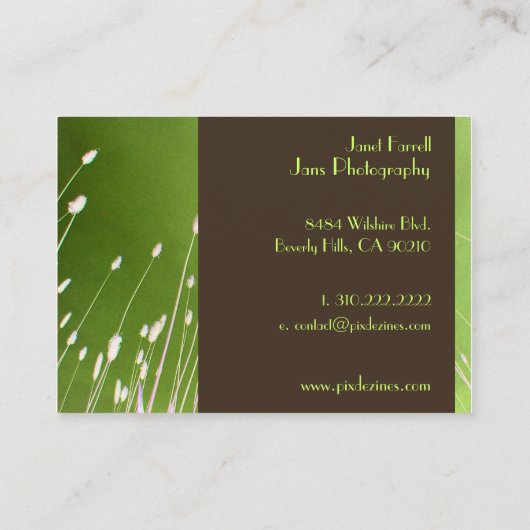 Cartes de visite modèle, herbe de blé (Dos)