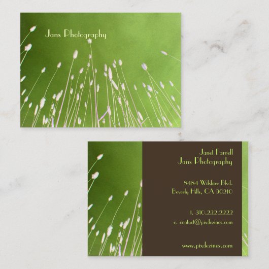 Cartes de visite modèle, herbe de blé (Devant / Derrière)