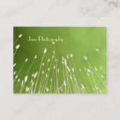 Cartes de visite modèle, herbe de blé (Devant)