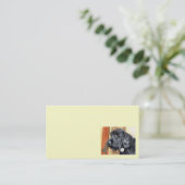 Cartes de visite noirs de Labradoodle (Debout devant)