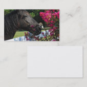 Cartes de visite noirs de photographie de cheval (Devant / Derrière)