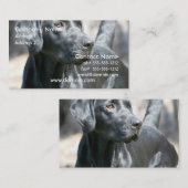 Cartes de visite noirs vigilants de labrador (Devant / Derrière)