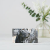 Cartes de visite noirs vigilants de labrador (Debout devant)