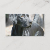 Cartes de visite noirs vigilants de labrador (Dos)