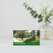 Cartes de visite paysagers (Debout devant)