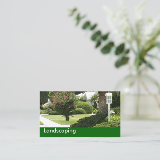 Cartes de visite paysagers (Debout devant)