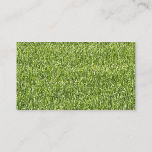 Cartes de visite paysagers (Dos)