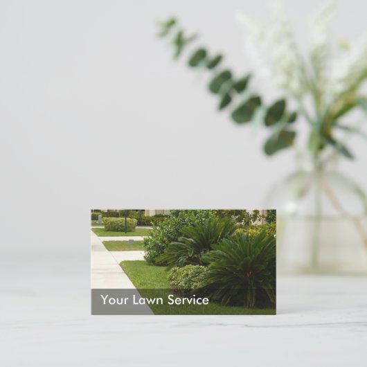 Cartes de visite paysagers (Debout devant)