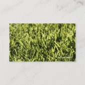 Cartes de visite paysagers (Dos)