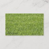 Cartes de visite paysagers (Dos)