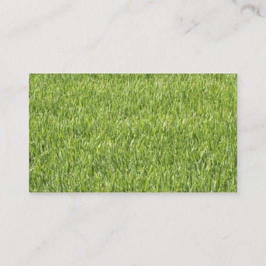 Cartes de visite paysagers (Dos)