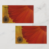 Cartes de visite peints de marguerites (Devant / Derrière)