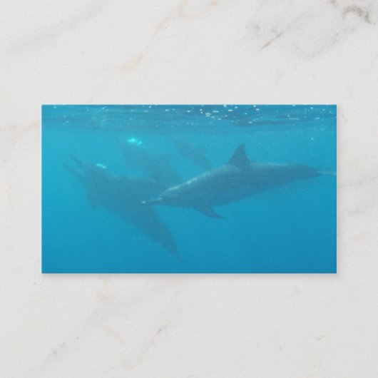 Cartes de visite personnalisables de société de (Devant)