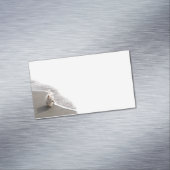 Cartes de visite photo Westie Beachcombing (In Situ)