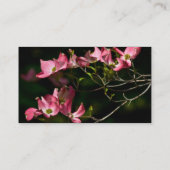 Cartes de visite photographiques modèle (Dos)