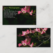 Cartes de visite photographiques modèle (Devant / Derrière)