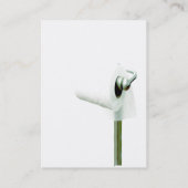 Cartes de visite potelés de dépendance pour le (Dos)