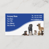 Cartes de visite pour animaux de compagnie (Devant)