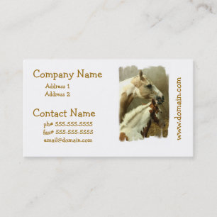Cartes de visite pour chevaux d'événement gris