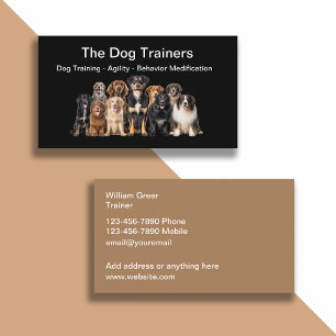 Cartes de visite pour entreprise de dressage de ch